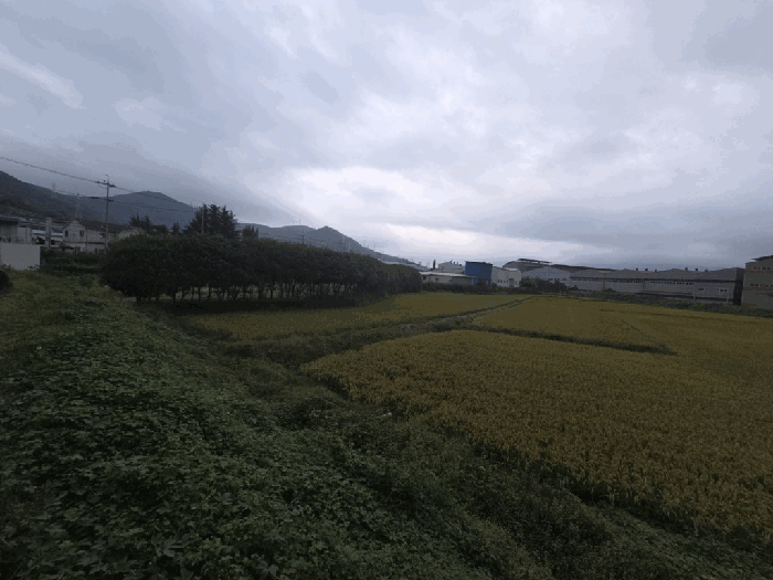 경남 김해시 진례면 전답 경매 물건 사진 4 · 2025타경12194