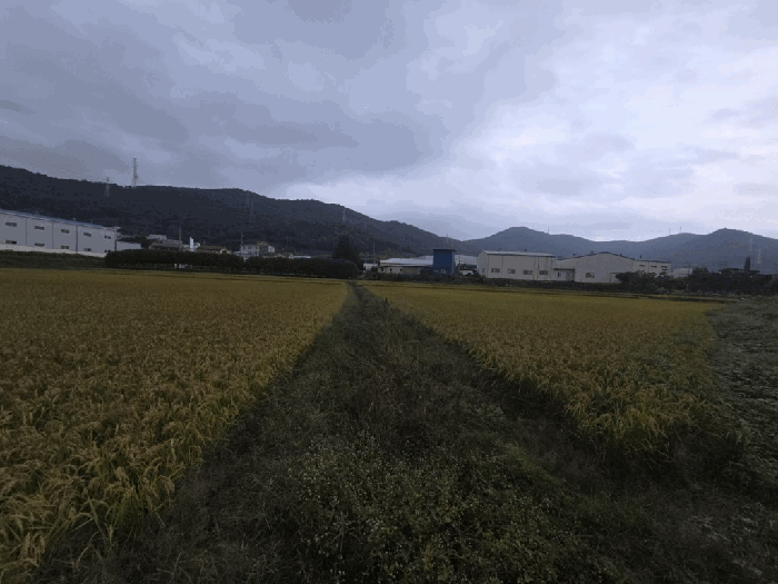 경남 김해시 진례면 전답 경매 물건 사진 5 · 2025타경12194