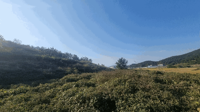 경남 김해시 진영읍 과수원 경매 물건 사진 5 · 2025타경12314