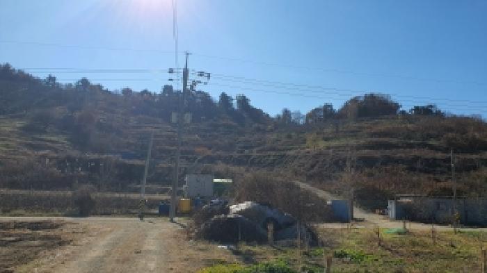 경남 김해시 진영읍 과수원 경매 물건 사진