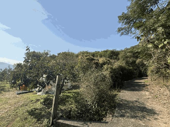 경남 김해시 진영읍 전 경매 물건 사진