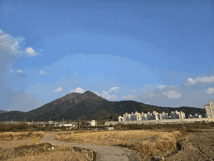 경남 창원시 진해구 소사동 전답 경매 물건 사진 3 · 2025타경12417