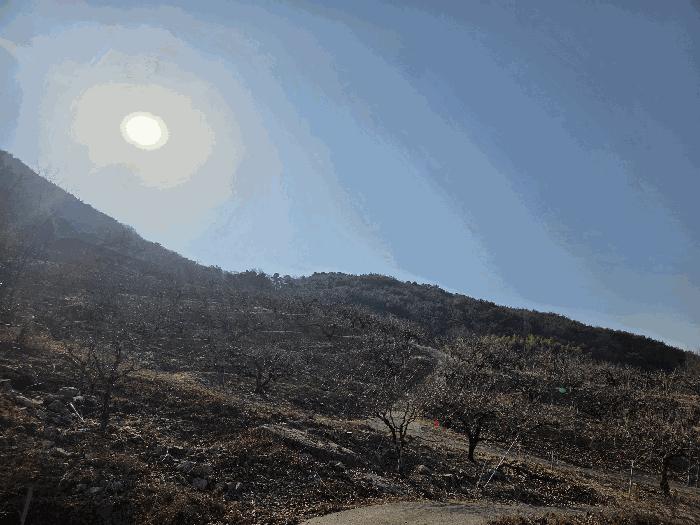 경상남도 창원시 의창구 북면 하천리 산21 전 경매 물건 사진
