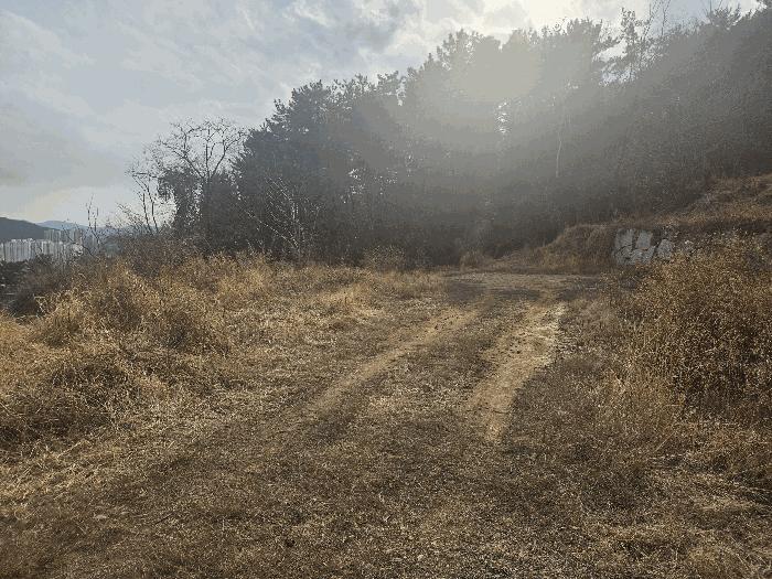 경남 김해시 내동 답 경매 물건 사진