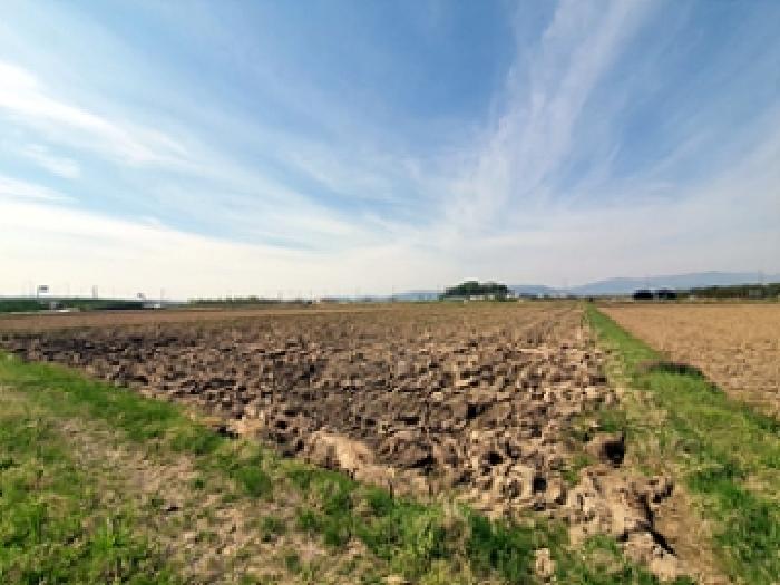 경남 김해시 어방동 답 경매 물건 사진 3 · 2025타경431