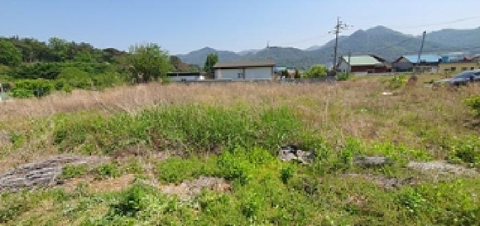 경남 김해시 한림면 답 경매 물건 사진 3 · 2025타경440