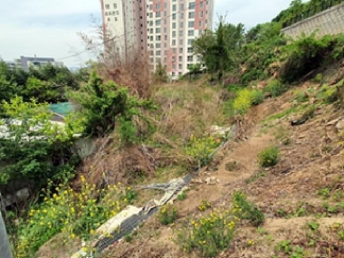 경남 김해시 지내동 전 경매 물건 사진