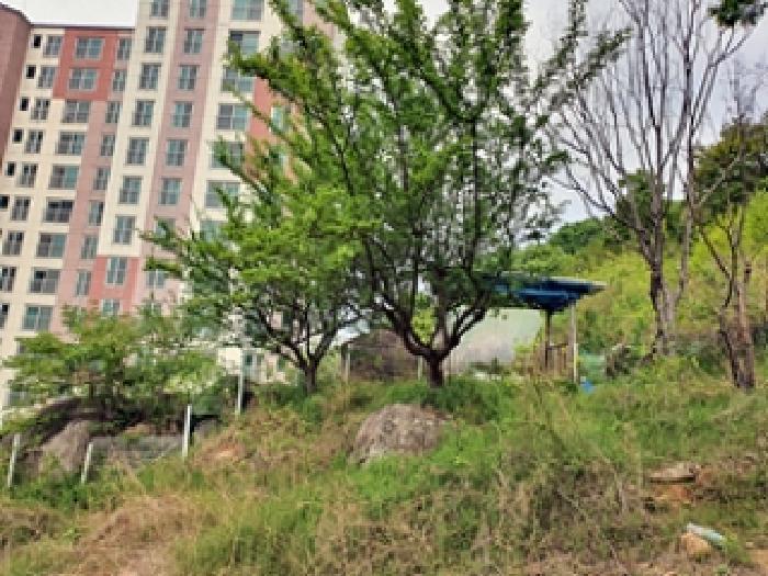 경남 김해시 지내동 전 경매 물건 사진 4 · 2025타경463