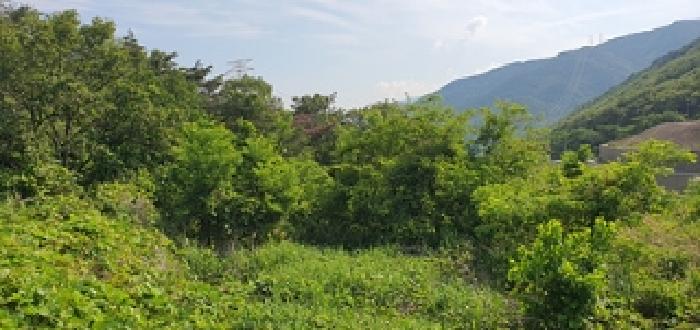 경남 김해시 상동면 임야 경매 물건 사진 2 · 2025타경504