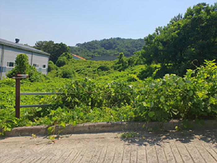 경남 김해시 한림면 전 경매 물건 사진