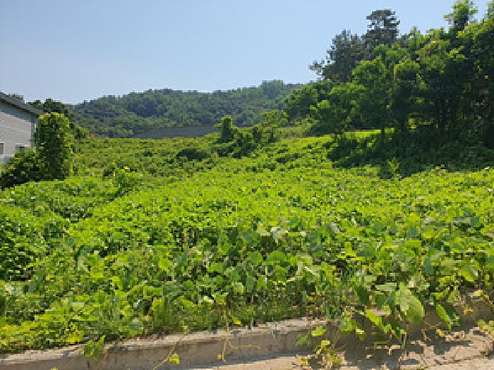 경남 김해시 한림면 전 경매 물건 사진 3 · 2025타경522