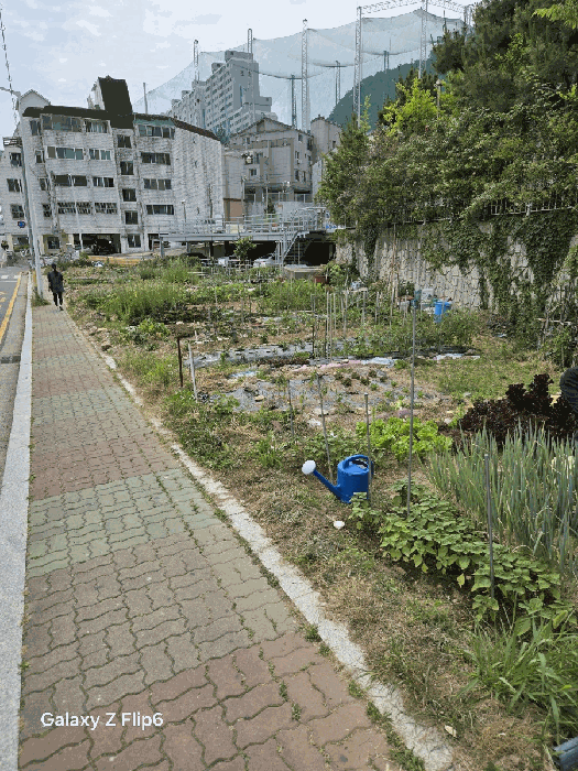 경남 김해시 외동 대지 경매 물건 사진 6 · 2025타경527