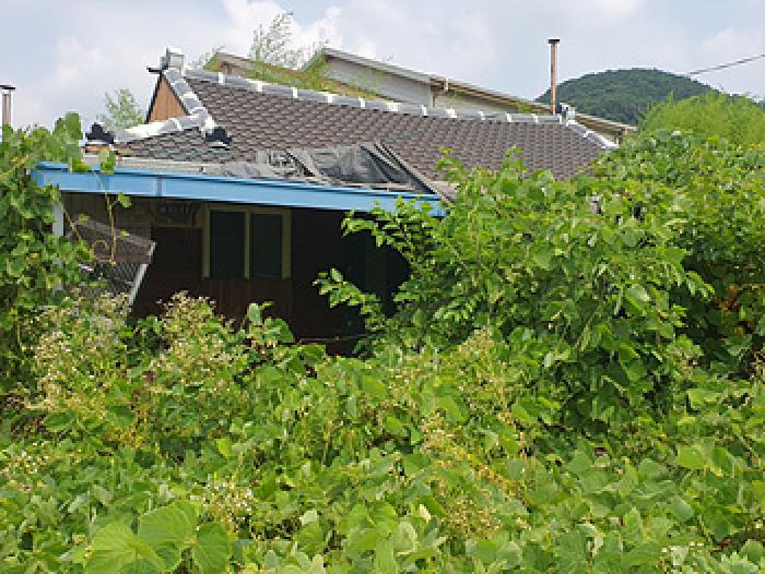경남 김해시 진영읍 대지 경매 물건 사진 3 · 2025타경528