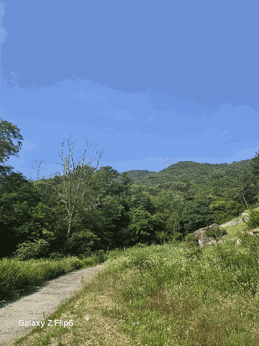 경상남도 창원시 성산구 상복동 산42 임야 경매 물건 사진