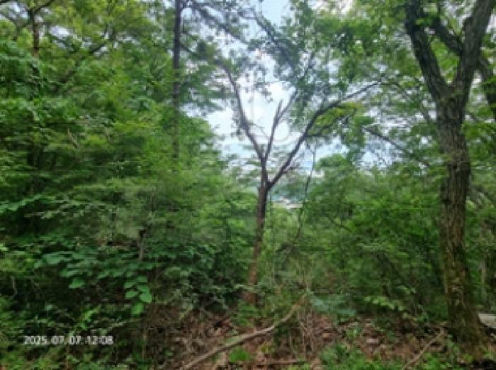 경남 창원시 성산구 상복동 임야 경매 물건 사진 2 · 2025타경549