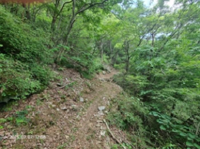 경남 창원시 성산구 상복동 임야 경매 물건 사진 5 · 2025타경549