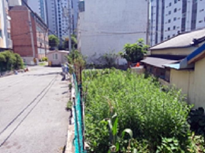 경남 창원시 진해구 마천동 답 경매 물건 사진 4 · 2025타경579