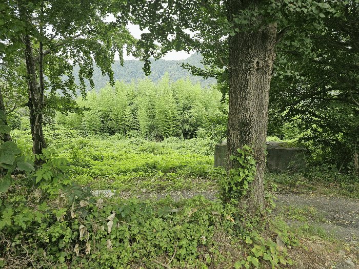 경상남도 김해시 대동면 주동리 663-4 대지 경매 물건 사진