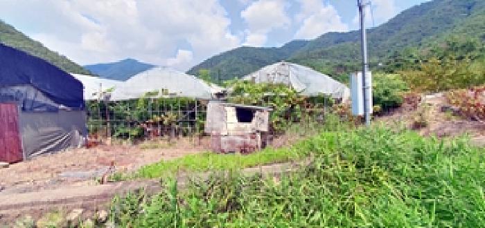 경남 김해시 대동면 답 경매 물건 사진 6 · 2025타경606