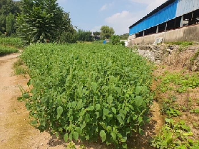 경남 창원시 의창구 북면 전 경매 물건 사진 6 · 2025타경614