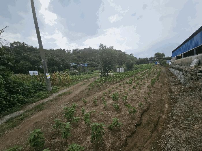 경상남도 창원시 의창구 북면 외산리 835 전 경매 물건 사진