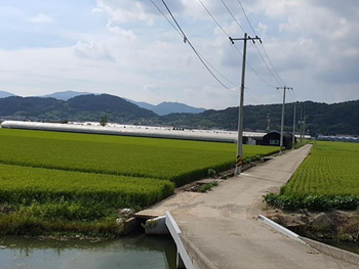 경남 김해시 화목동 답 경매 물건 사진