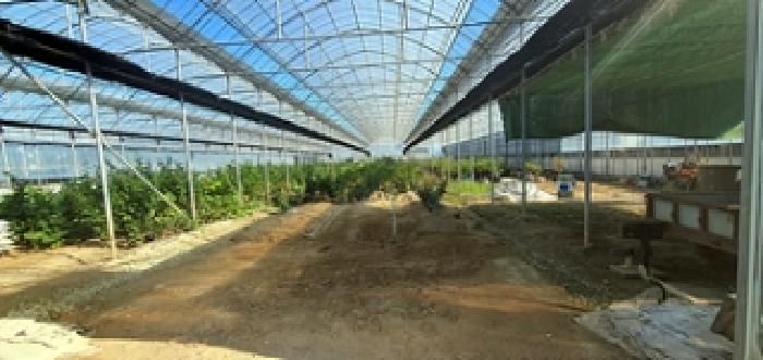 경남 김해시 대동면 답 경매 물건 사진 3 · 2025타경627