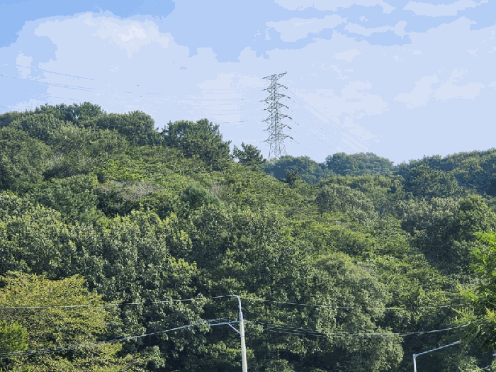 경남 창원시 성산구 남지동 임야 경매 물건 사진 4 · 2025타경640