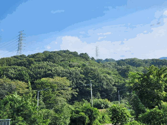 경남 창원시 성산구 남지동 임야 경매 물건 사진 6 · 2025타경640