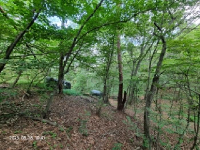 경남 창원시 성산구 남지동 임야 경매 물건 사진