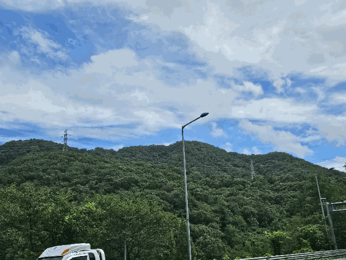 경남 창원시 성산구 귀곡동 임야 경매 물건 사진 6 · 2025타경653
