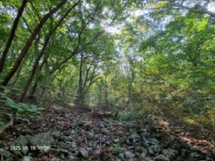 경남 창원시 성산구 귀곡동 임야 경매 물건 사진
