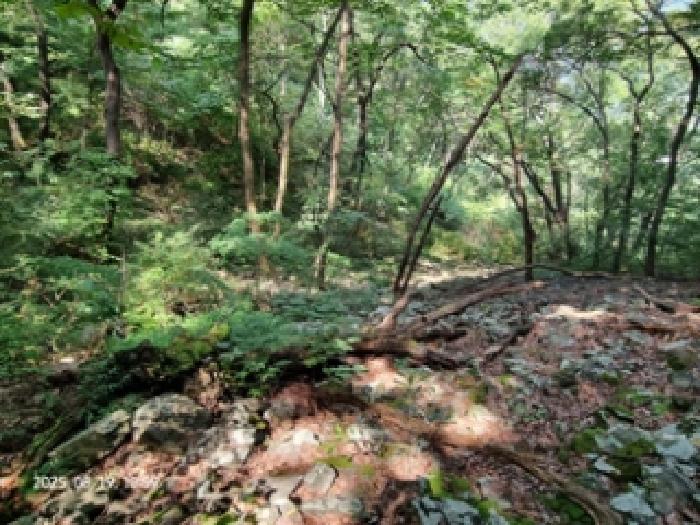 경남 창원시 성산구 귀곡동 임야 경매 물건 사진 2 · 2025타경653