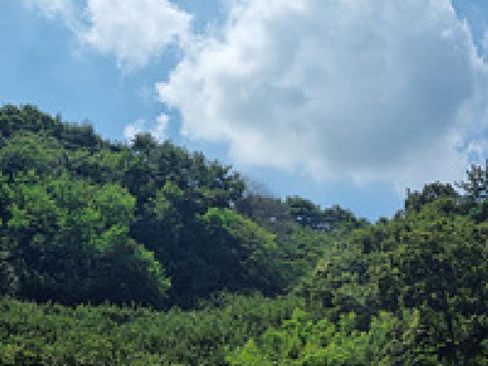 경남 창원시 의창구 북면 임야 경매 물건 사진 6 · 2025타경655