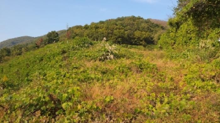 경남 김해시 주촌면 공장용지 경매 물건 사진
