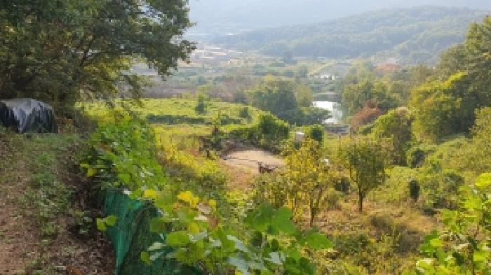 경남 김해시 주촌면 공장용지 경매 물건 사진 2 · 2025타경739