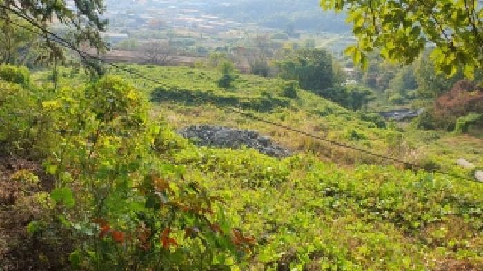 경남 김해시 주촌면 공장용지 경매 물건 사진 3 · 2025타경739