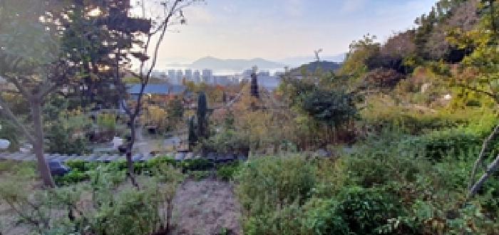 경남 창원시 진해구 장천동 동물및식물관련시설 경매 물건 사진 5 · 2025타경775