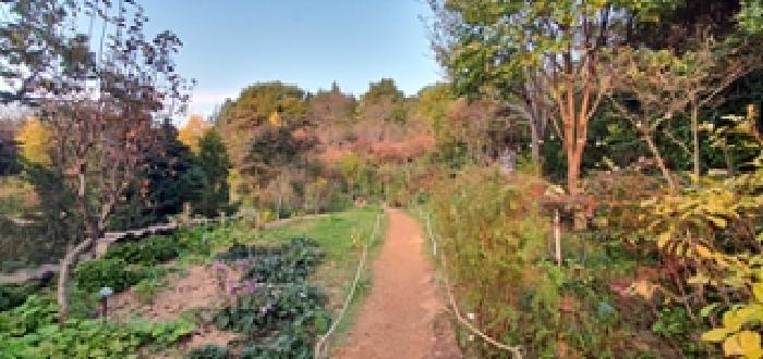 경남 창원시 진해구 장천동 동물및식물관련시설 경매 물건 사진 6 · 2025타경775