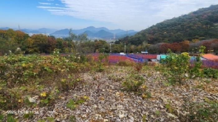 경남 창원시 의창구 북면 과수원 경매 물건 사진 3 · 2025타경782