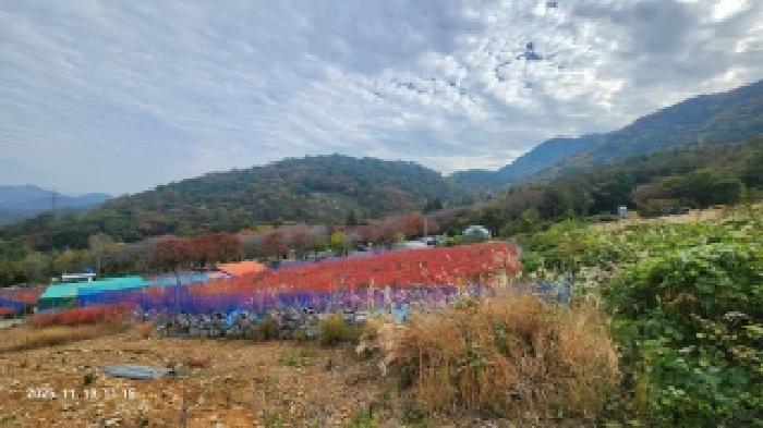 경남 창원시 의창구 북면 과수원 경매 물건 사진 5 · 2025타경782
