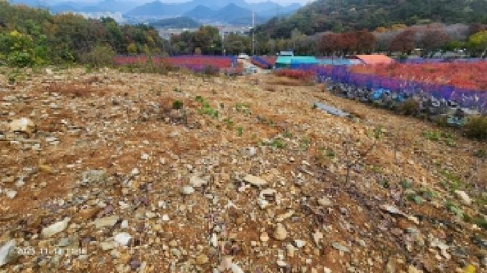경남 창원시 의창구 북면 과수원 경매 물건 사진 6 · 2025타경782