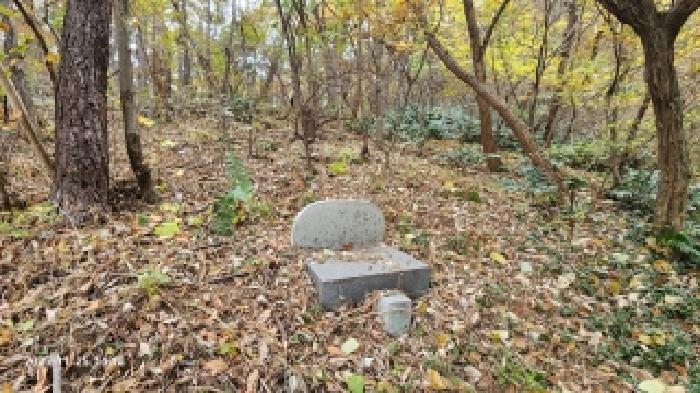 경남 창원시 의창구 동읍 임야 경매 물건 사진 3 · 2025타경807