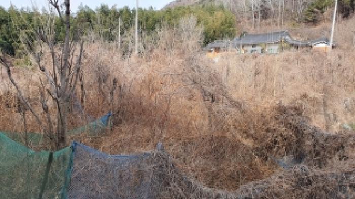 경남 김해시 한림면 대지 경매 물건 사진 4 · 2025타경839