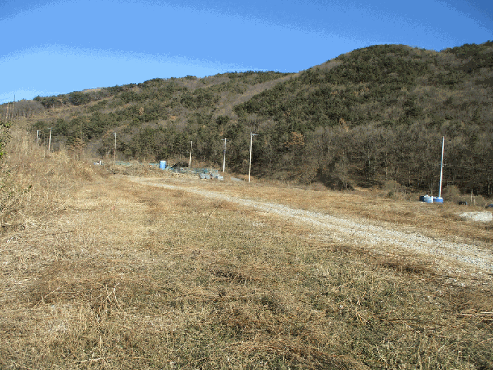 경남 김해시 주촌면 답 경매 물건 사진 5 · 2025타경901