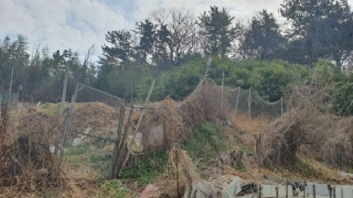 경남 김해시 주촌면 임야 경매 물건 사진 6 · 2026타경10083