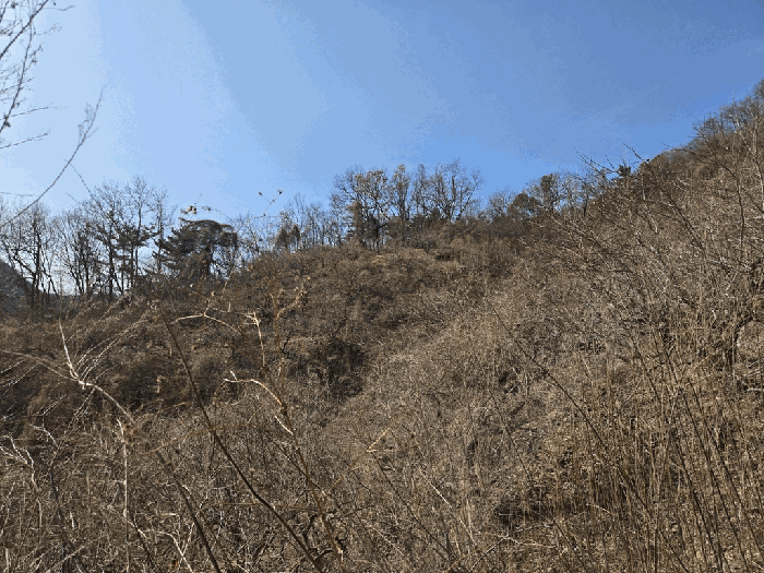 경남 창원시 의창구 북면 임야 경매 물건 사진 6 · 2026타경10176