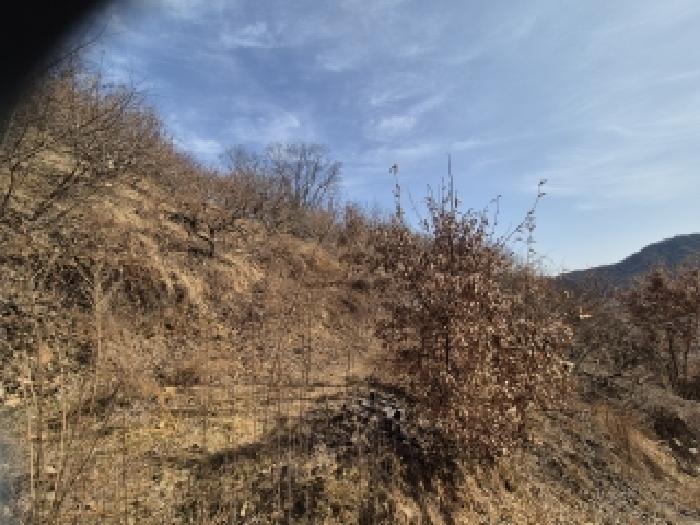 경남 창원시 의창구 북면 임야 경매 물건 사진 3 · 2026타경10176
