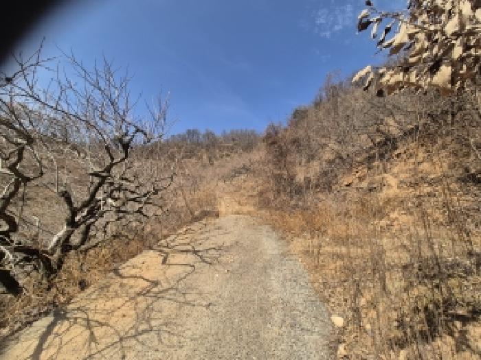 경남 창원시 의창구 북면 임야 경매 물건 사진 4 · 2026타경10176