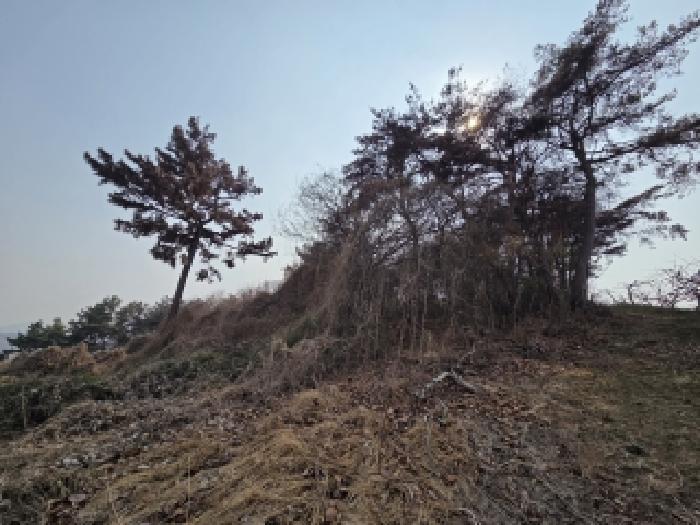 경남 창원시 의창구 동읍 임야 경매 물건 사진 6 · 2026타경10334
